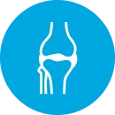 a white icon of a bone on a bright blue background