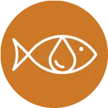 white dumbbell icon on a turquoise background